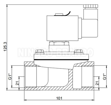 1 "простой пульсовый реактивный клапан для пылесоса 24V 110V 220V