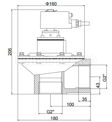 BFEC 2'' DMF-Z-50S со взрывозащищенной катушкой 24VDC 220VAC