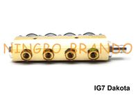 Тип тело РЕЛЬСА цилиндра ома 4 рельса 2 инжектора навахо ИГ7 Дакоты алюминиевое для ЛПГ КНГ